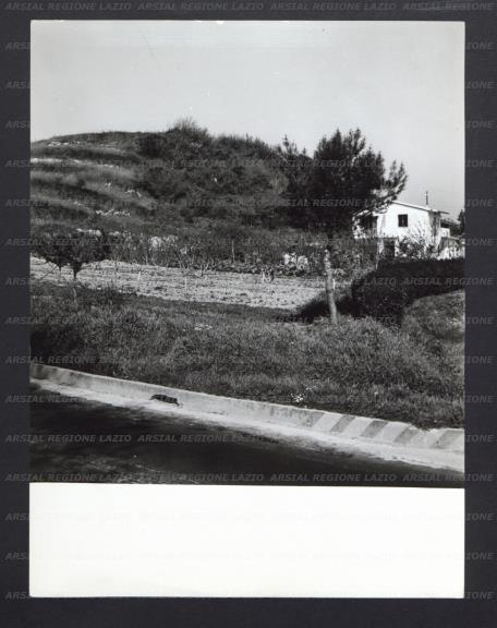 ARSIAL/ARS00177603.jpg