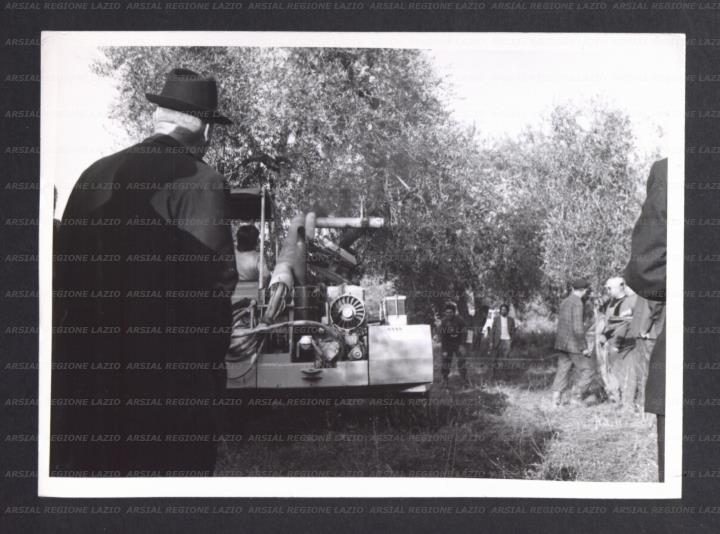 ARSIAL/ARS0017762B.jpg