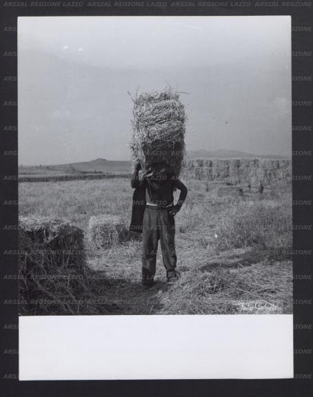 ARSIAL/ARS00177709.jpg