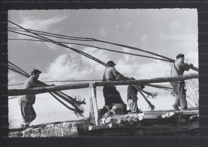 ARSIAL/ARS00177739.jpg