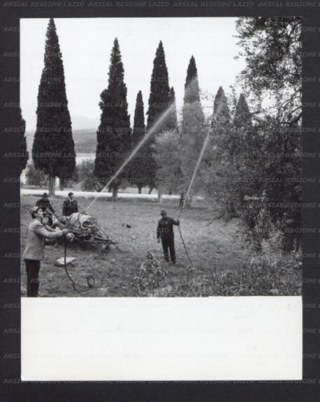 ARSIAL/ARS0017826D.jpg