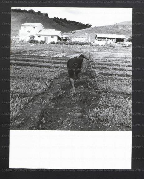 ARSIAL/ARS00178282.jpg