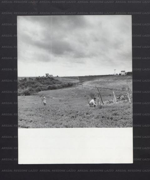 ARSIAL/ARS0017828F.jpg