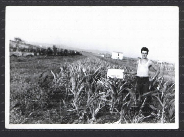 ARSIAL/ARS001782C2.jpg