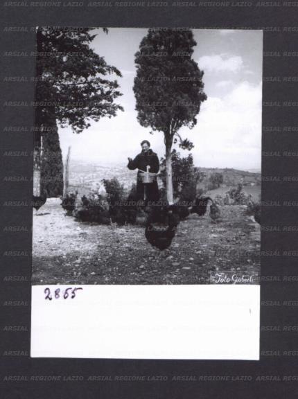 ARSIAL/ARS00178334.jpg