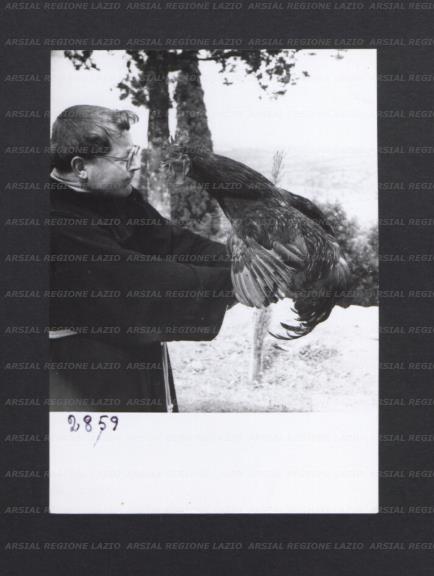 ARSIAL/ARS00178337.jpg