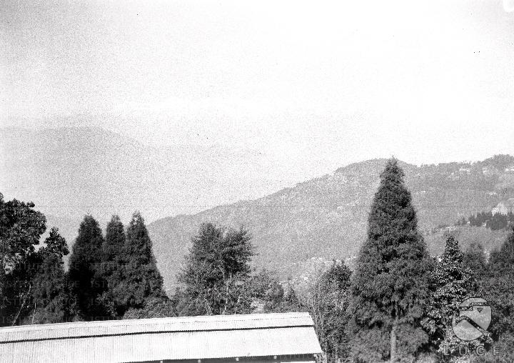 ATTUALITA/A27-115/A00008196.JPG