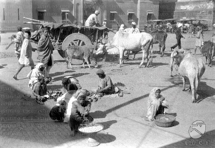 ATTUALITA/A27-115/A00008237.JPG