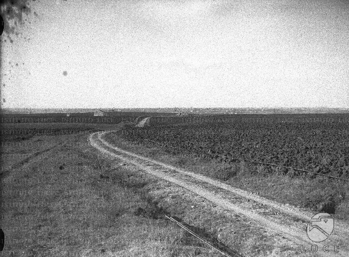 ATTUALITA/A27-170/A00015288.JPG