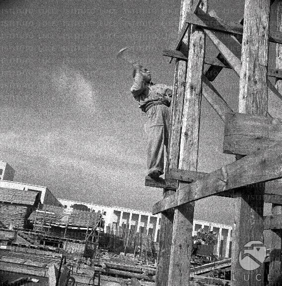 ATTUALITA/A40-006/A00129709.JPG