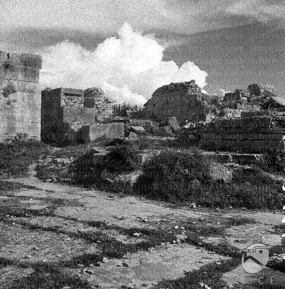 ATTUALITA/A40-026/A00131471.JPG