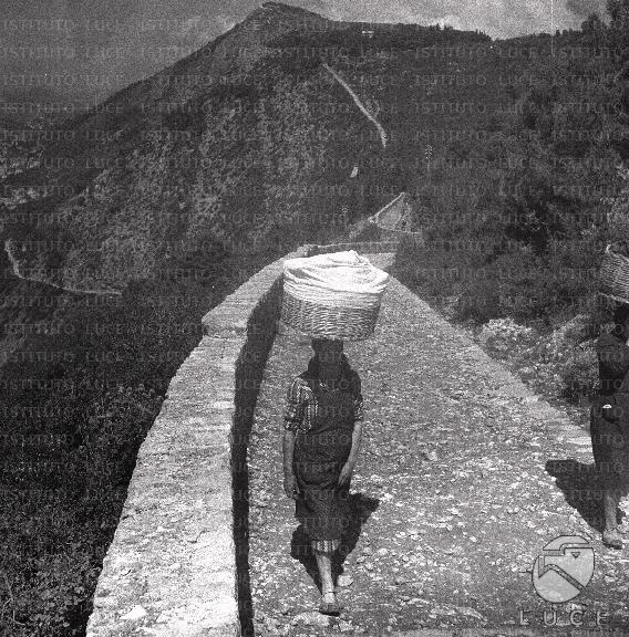 ATTUALITA/A40-033/A00132200.JPG