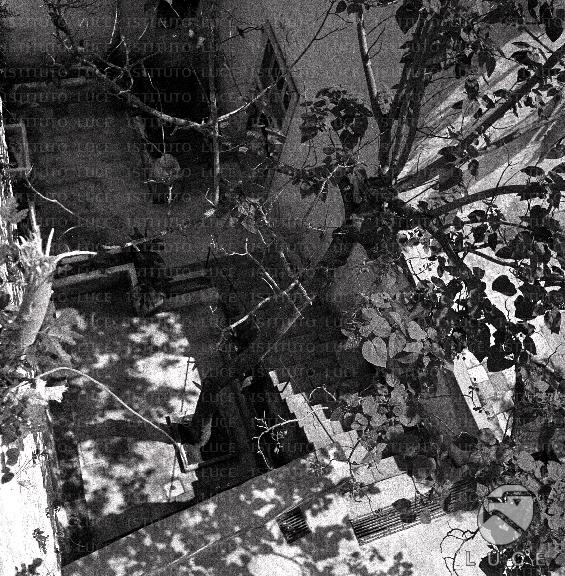 ATTUALITA/A40-033/A00132209.JPG