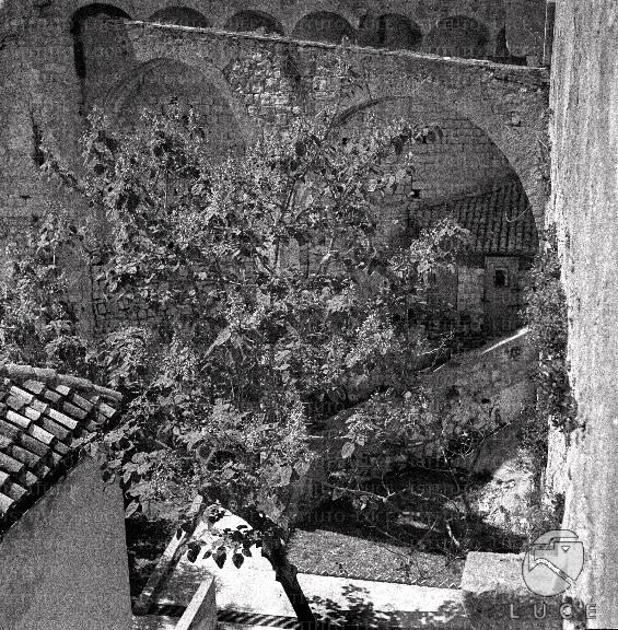 ATTUALITA/A40-033/A00132214.JPG