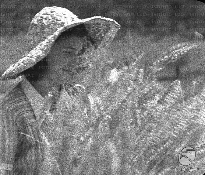 ATTUALITA/A40-057/A00133726.JPG