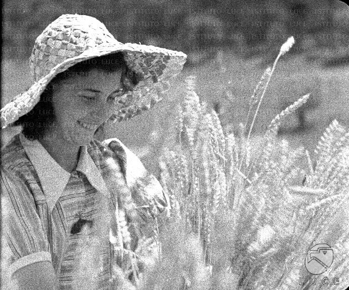 ATTUALITA/A40-057/A00133733.JPG