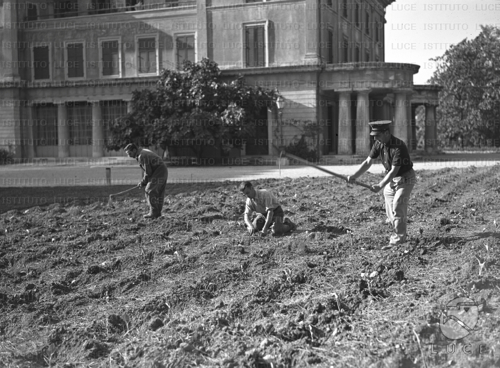 ATTUALITA/A40-076/A00135427.JPG