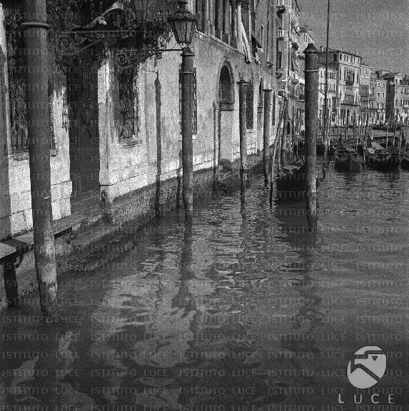 ATTUALITA/A40-077/A00135512.JPG