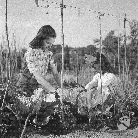 ATTUALITA/A40-146/A00142459.JPG