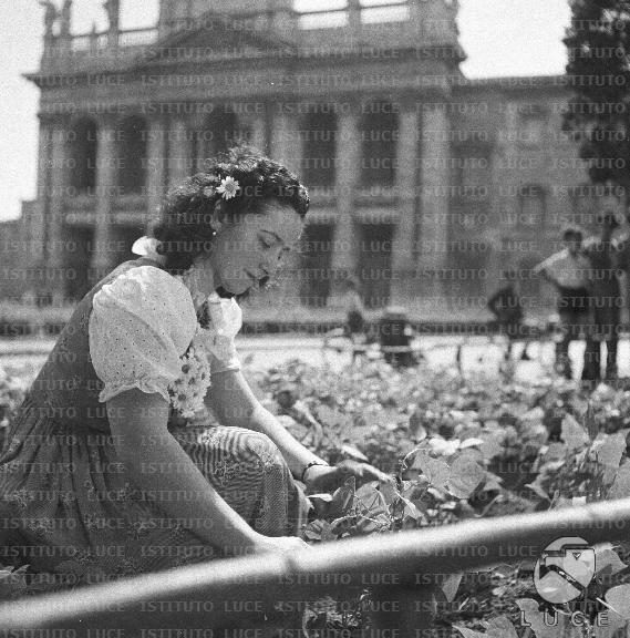 ATTUALITA/A40-146/A00142470.JPG