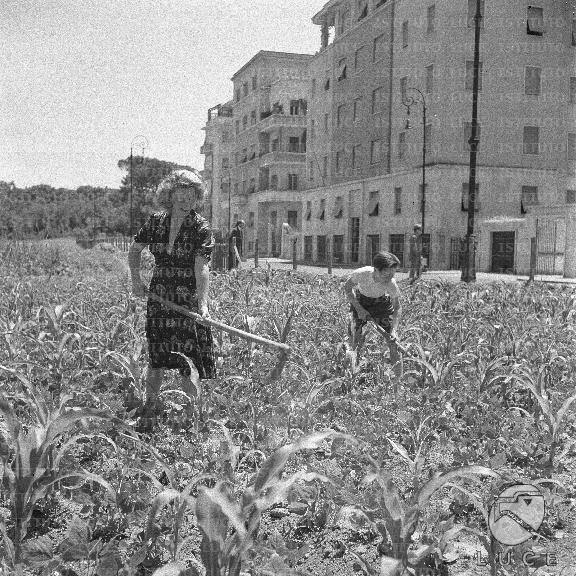 ATTUALITA/A40-146/A00142476.JPG