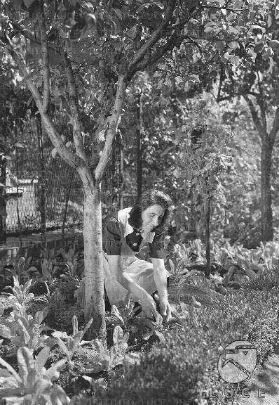 ATTUALITA/A40-147/A00142478.JPG