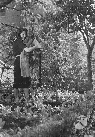 ATTUALITA/A40-147/A00142479.JPG