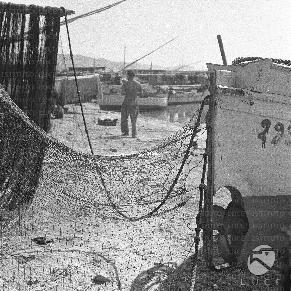 ATTUALITA/A40-147/A00142529.JPG