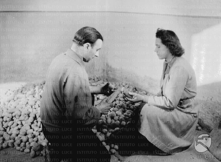 ATTUALITA/GP52/A00169811.JPG