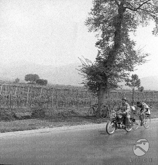 ATTUALITA/GP79/A00177739.JPG