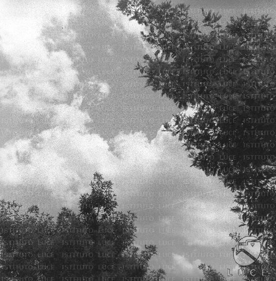 ATTUALITA/GP80/A00177943.JPG