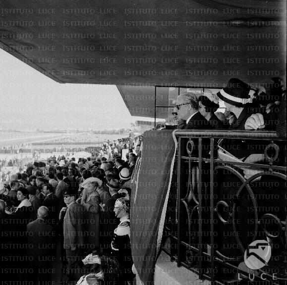 DIAL/D268/D268-34.JPG