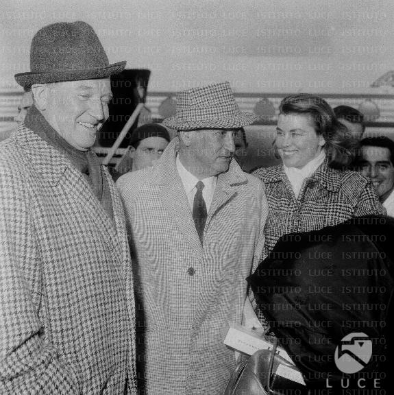 DIAL/D397/D397-64.JPG DIAL/D397/D397-64.JPG