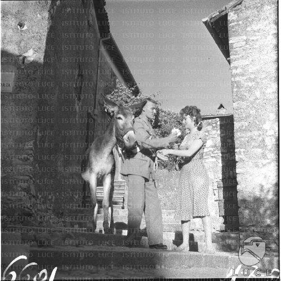 FV/NTH00003/FV00000544.JPG