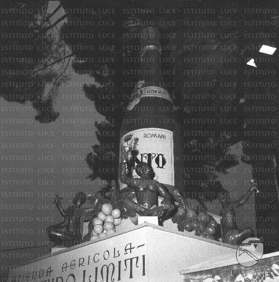 FV/NTH00007/FV00001052.JPG