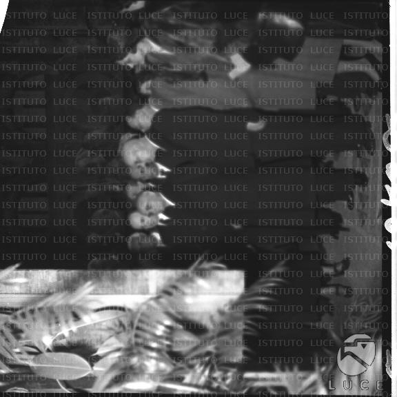 FV/NTH00024/FV00005009.JPG