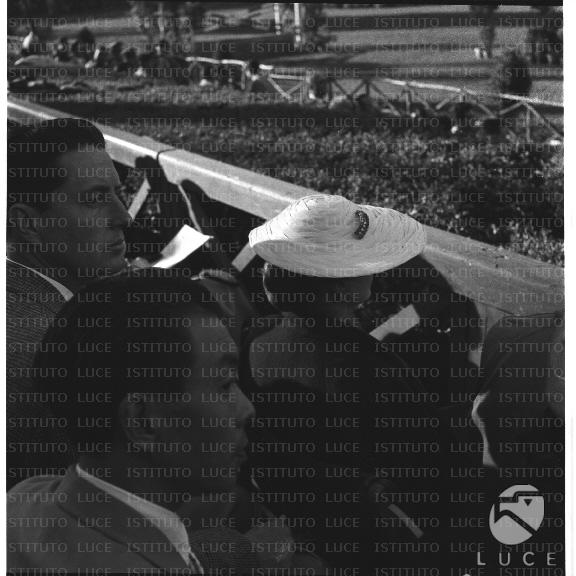 FV/NTH00041/FV00008523.JPG