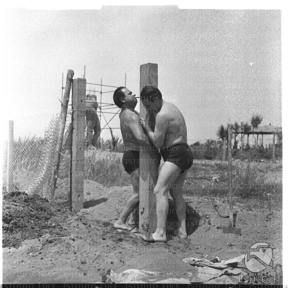 FV/NTH00078/FV00016659.JPG