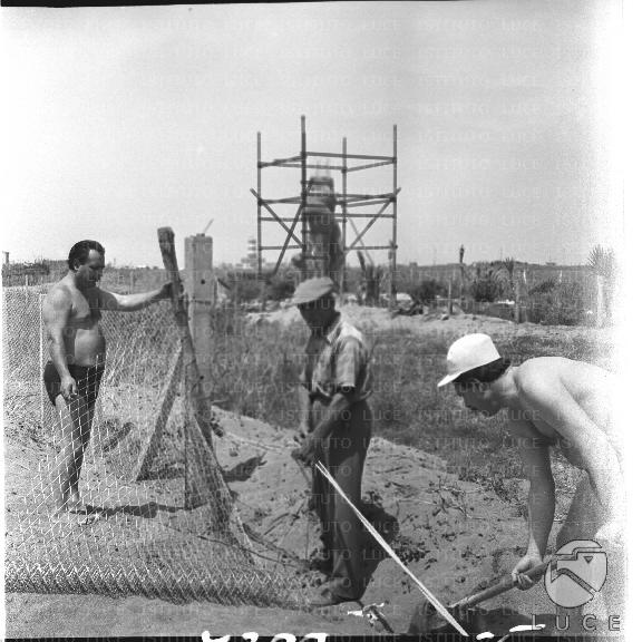 FV/NTH00078/FV00016670.JPG