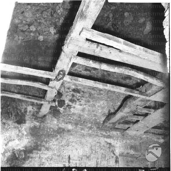 FV/NTH00090/FV00019750.JPG FV/NTH00090/FV00019750.JPG