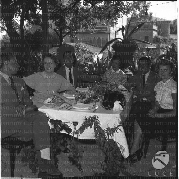 FV/NTH00091/FV00019373.JPG