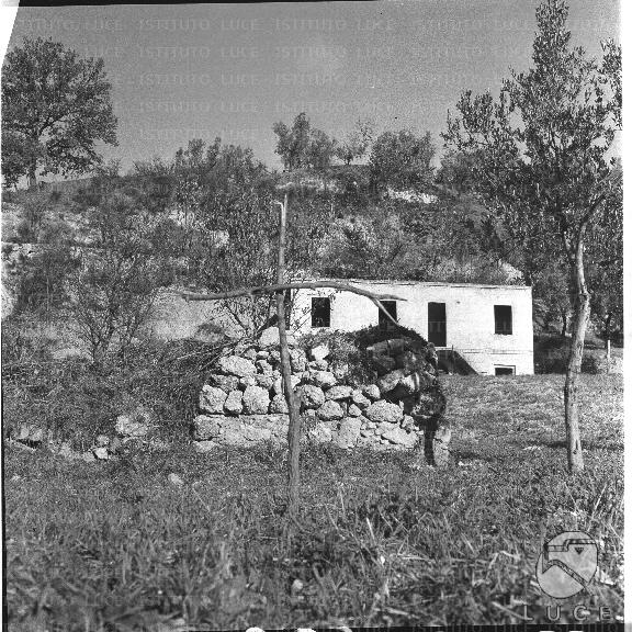 FV/NTH00105/FV00022588.JPG