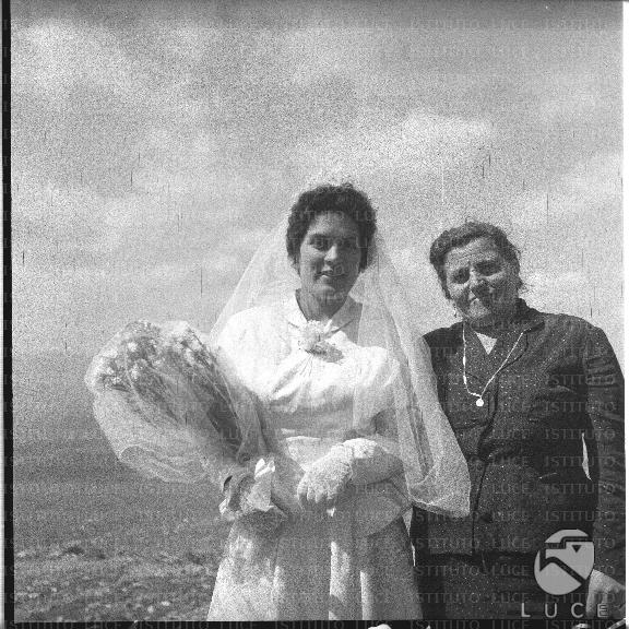 FV/NTH00134/FV00029236.JPG
