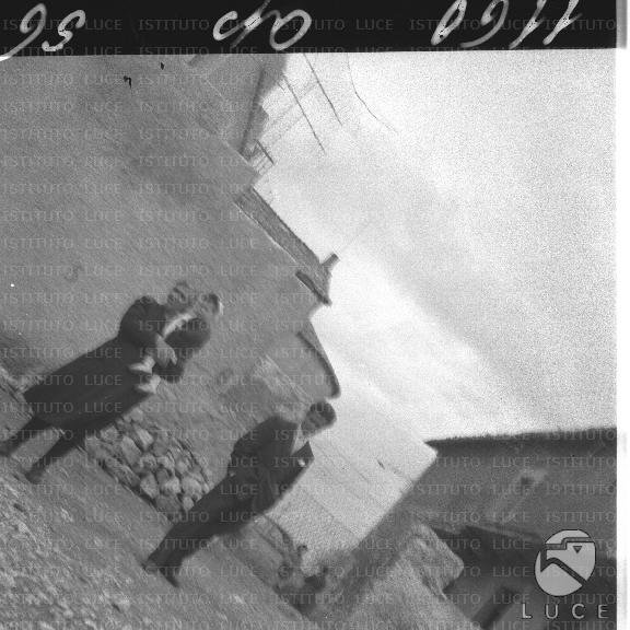 FV/NTH00135/FV00029386.JPG