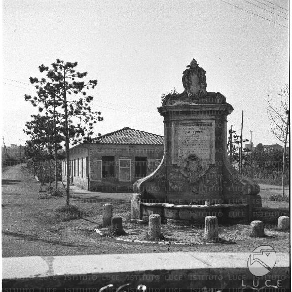 FV/NTH00139/FV00030387.JPG