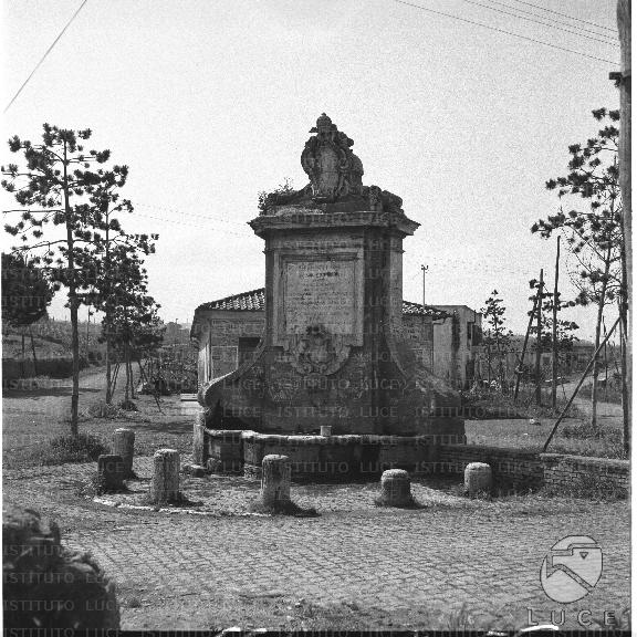 FV/NTH00139/FV00030392.JPG