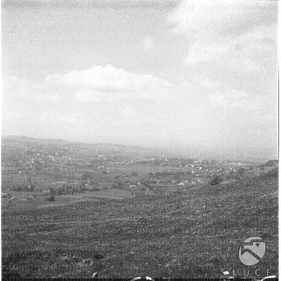 FV/NTH00140/FV00030447.JPG
