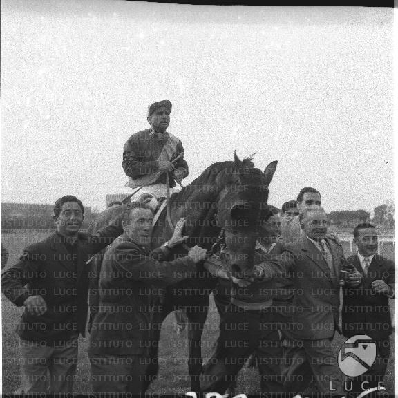 FV/NTH00142/FV00031059.JPG