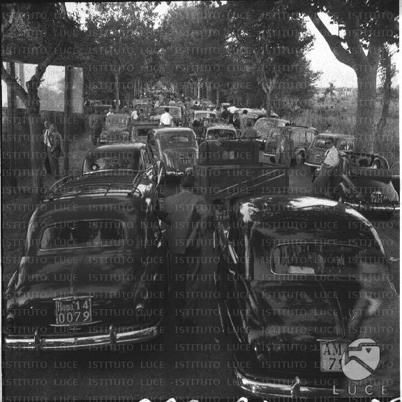 FV/NTH00148/FV00032589.JPG