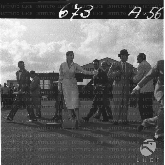 FV/NTH00157/FV00034481.JPG
